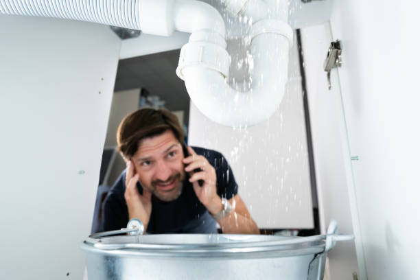 Best Leak Detection Services  in Great Neck Plaza, NY